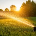 The Best Time to Water Your Yard for Optimal Care
