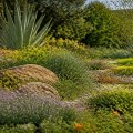 Exploring Sustainable Alternatives to Traditional Grass Lawns for Yard Care