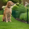 Effective Strategies to Safeguard Your Yard from Pets and Wildlife