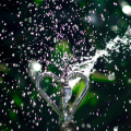 Simplify Lawn Care with Superior Sprinkler Systems
