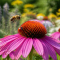 Attracting Beneficial Insects for Natural Pest Control in Your Yard