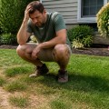 Common Yard Care Mistakes and How to Avoid Them