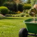 Choosing the Right Fertilizer for Your Yard: A Complete Guide to Yard Care