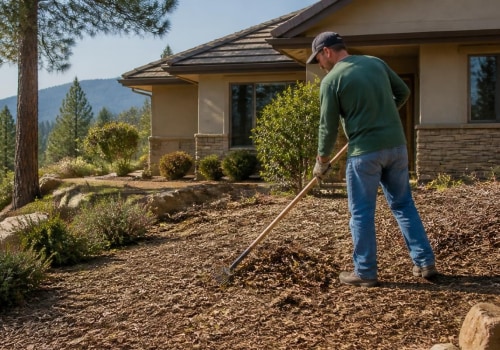 Creating a Fire-Safe Yard: Essential Yard Care Tips