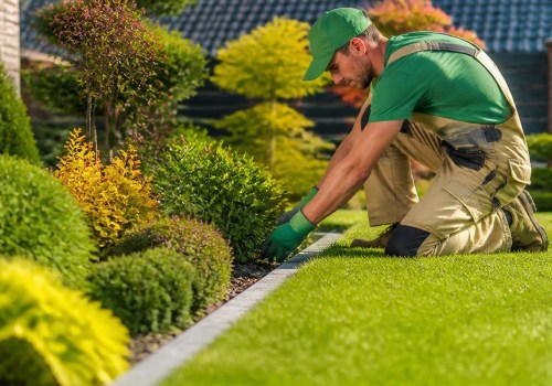 Essential Yard Care Tasks for a Lush and Healthy Landscape