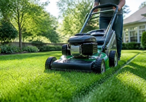 The Essential Guide to Lawn Mowing Frequency for Optimal Yard Care