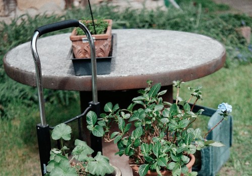 From Everyday Yard Care to a Stunning Outdoor Retreat: Professional Garden Design in Rapperswil-Jona